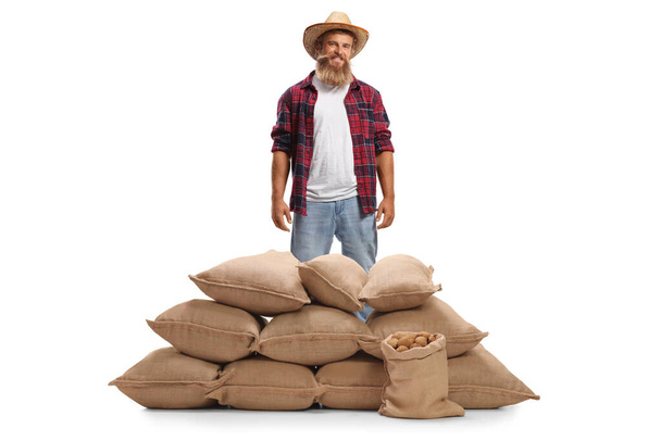 Cheerful bearded farmer standing behind a pile of burlap sacks with potatoes isolated on white background - Foto, Imagen