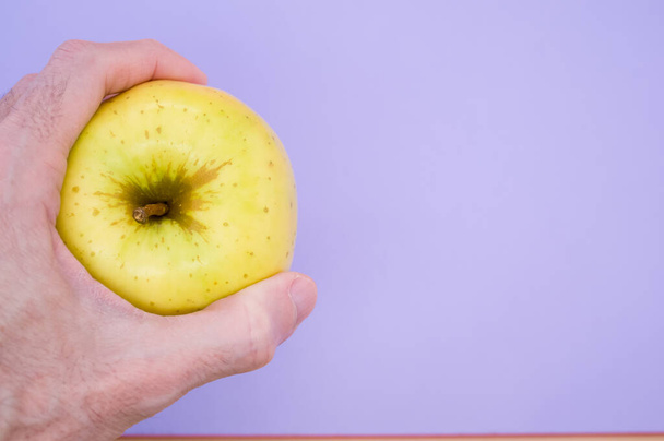 A closeup shot of a hand holding a yellow apple isolated on purple background - 写真・画像