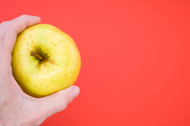 A closeup shot of a hand holding a yellow apple isolated on a red background - 写真・画像