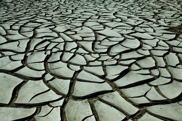 Sequía
 - Foto, imagen