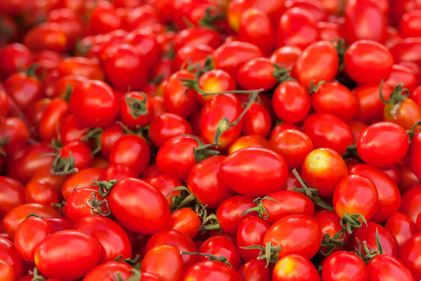 Tomatoes - Фото, зображення