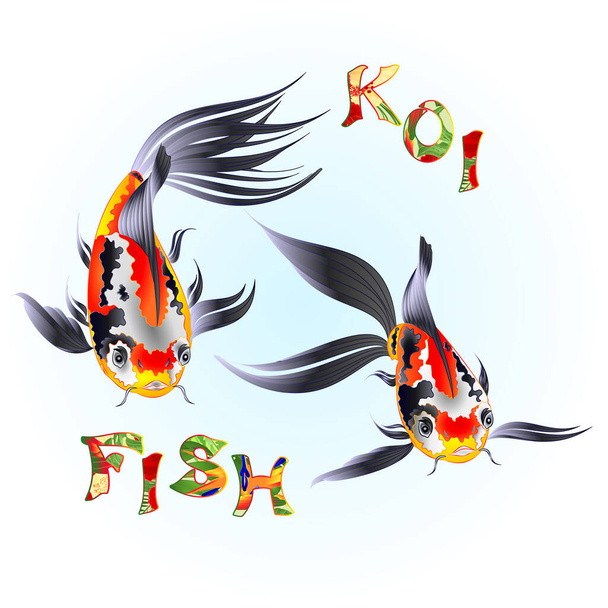 Японська риба carp koi красива традиція і напис на водяному синьому фоновому вінтажному векторі ілюстрація вирізки руки - Вектор, зображення