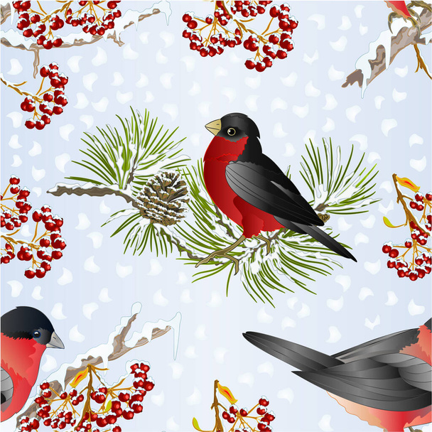 雪とローワンベリー冬の背景に松の枝にシームレスなテクスチャの小さな鳥のブルフィンカンソンバードンヴィンテージベクトルイラスト編集可能な手描き - ベクター画像