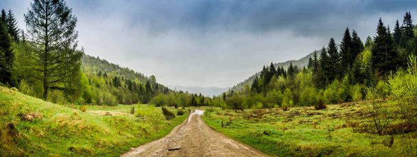 a forest road and landscape of the carpathian mountains, national park Skolivski beskidy, Lviv region of Western Ukraine - Foto, afbeelding