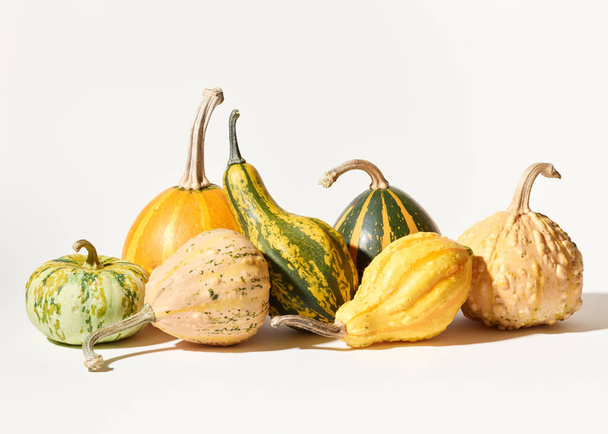Different pumpkins over white background - Foto, Bild