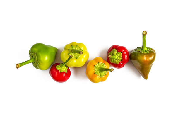 Несколько стручков горячего перца, красные сорта вишни, зеленые, желтые, красные и оранжевые стручки изолированы на белом фоне - Фото, изображение