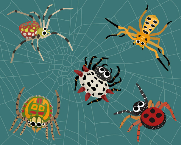 Los dibujos animados de naturaleza de araña insecto incluyen Ladybird Spider, Peacock Spider, Star Spider, Ocho manchas de araña cangrejo, Mirror Spider y fondo de tela de araña. Biología animal vector gráfico e ilustración.  - Vector, imagen