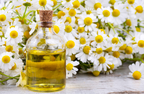 Esenciální olej ve skleněné láhvi s čerstvými heřmánkovými květy, kosmetické ošetření. - Fotografie, Obrázek