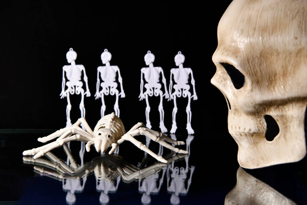 crâne et squelettes de personnes et d'animaux sur fond noir comme un attribut de la fête du changement de tous les morts - Photo, image
