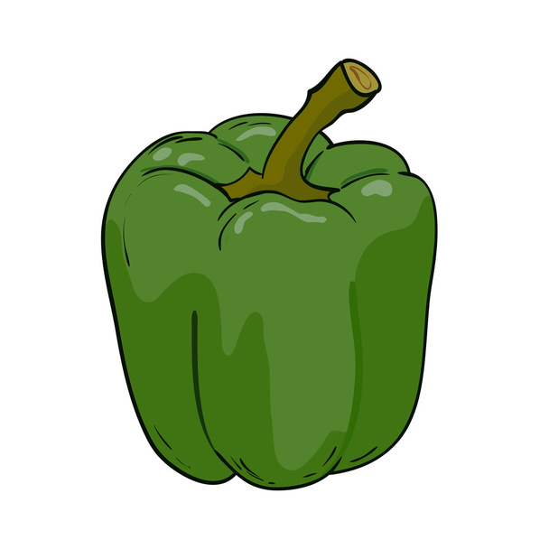 Vector green pepper - Vector, Image