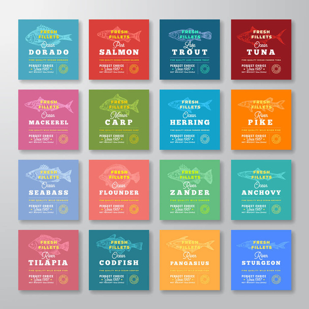 Fresh Fillets Premium Quality Labels Big Set. Abstract Vector Fish Packaging Design Layout. Retro Typography with Borders and Hand Drawn Fish Silhouette Background Collection. - Вектор,изображение