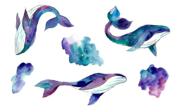 Aquarell-Illustration eines Wals im Weltraum auf weißem Hintergrund. Internationaler Tag zum Schutz der Säugetiere. Tag des Wals. - Foto, Bild