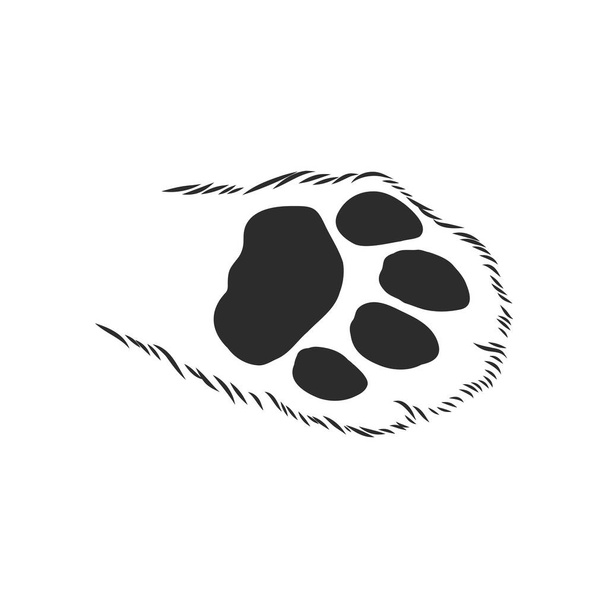 patte de chat avec les coussinets tiré vers le haut croquis graphiques vectoriels dessin noir et blanc - Vecteur, image