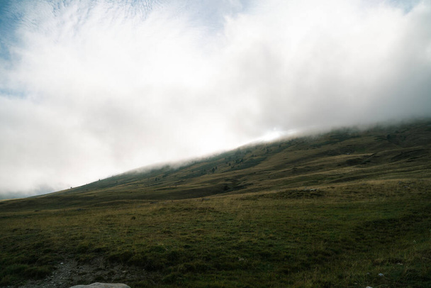 Groene grasheuvel in de hooglanden van de Pyreneeën - Foto, afbeelding