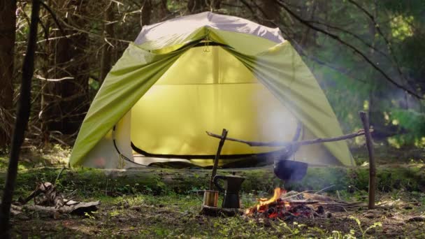 Στρατόπεδο σε ένα όμορφο δάσος - Πλάνα, βίντεο