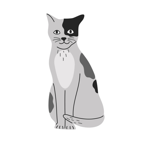 Cute silver shorthair cat sitting, illustration in flat cartoon style. Gray cute kitty pet, isolated on white background.  - Vector, Image