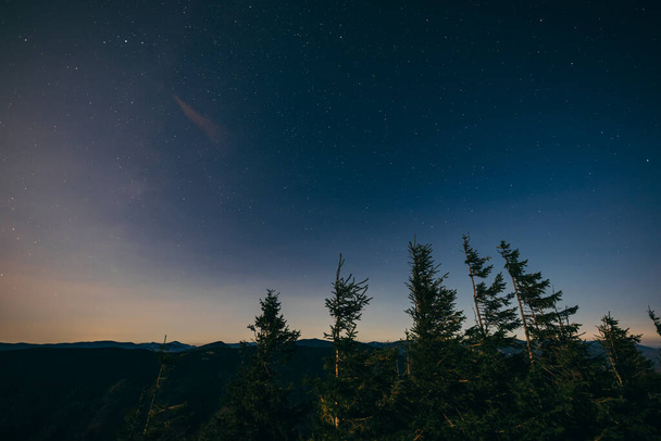 Вид на небо, выглядывающий ночью - Фото, изображение