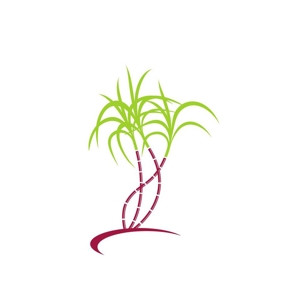Логотип и символ сахарного тростника - Вектор,изображение