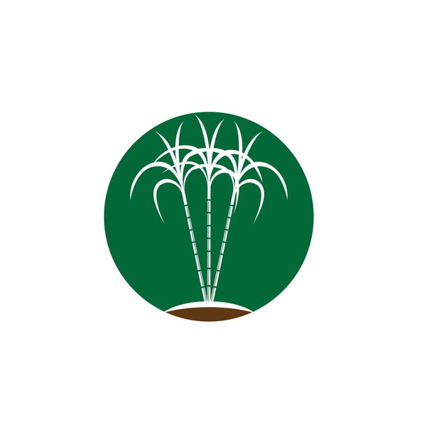 Логотип и символ сахарного тростника - Вектор,изображение