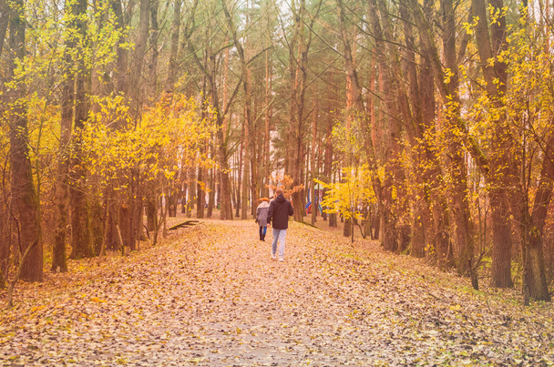 Young couple go for a walk in the autumn park, married couple walk the dog - Fotó, kép