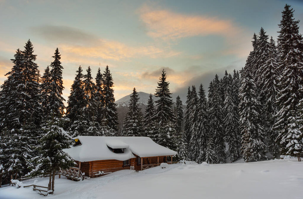 Снежная зима в украинских Карпатах и живописные горные дома - Фото, изображение