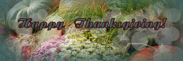Celebración de Acción de Gracias. Muchas calabazas con flores brillantes de otoño. Enhorabuena por texto. Bokeh. Formato de banner. - Foto, imagen