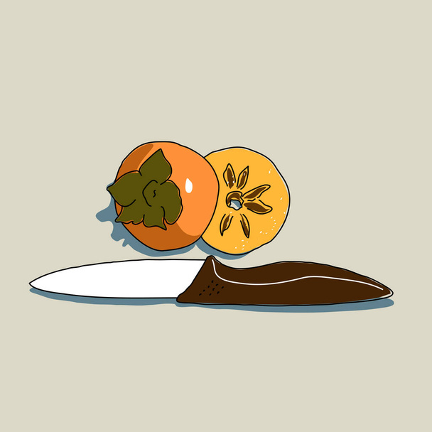 Vector food illustration of Persimmon and knife. Top and middle round of ripe delicious fruit with cutlery. Design for menu of cafe and restaurant, websites about healthy food, for products with kaki - Vector, Image