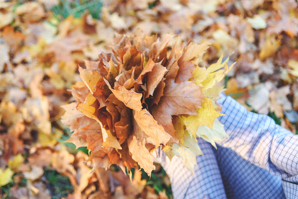 Goldener Herbst. Gelbes Ahornblatt auf dem Knie der jungen Frau. Herbstfarben im alten Stadtpark - Foto, Bild