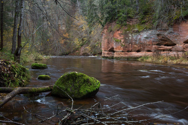 City Cesis, Латвія. Швидка річка з камінням і деревами. Natural flora.Travel photo. 31.10.2020 - Фото, зображення