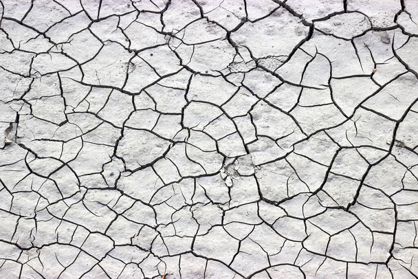 cracked muddy bottom of a dry river. High quality photo - Photo, Image