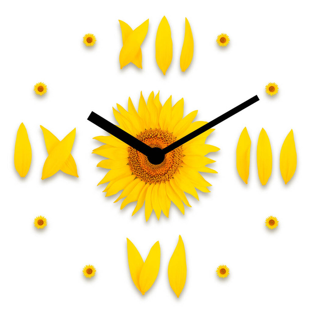 dial with arrows of sunflowers on a white background - Foto, Bild