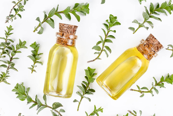A bottle of thyme essential oil with fresh thyme  - Фото, зображення