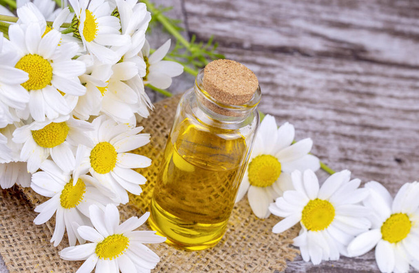 Essential oil in glass bottle with fresh chamomile flowers, beauty treatment. - Фото, изображение