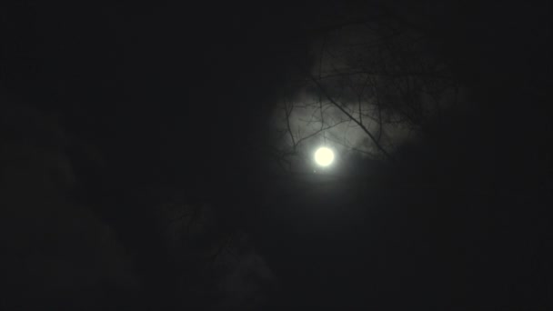 Fenséges telihold éjfélkor. Sötét táj csupasz fákkal és felhőkkel. - Felvétel, videó