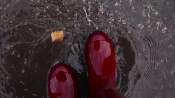 Close up van de vrouw in rode rubberen laarzen staand in een plas met herfstbladeren terwijl het regent bij koud regenachtig weer - Video
