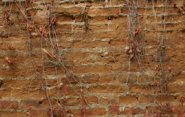    Maçonnerie rouge antique sur le mur de l'abbaye                             - Photo, image