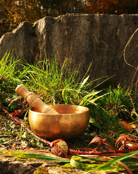 Śpiewająca miska umieszczona w naturze w środku rośliny ziół i jeżyn, ze skałą w tle - Zdjęcie, obraz