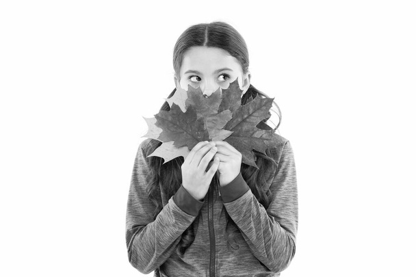 Enjoy the silence. collect autumn colors. beauty of fall season. happy childhood. school girl behind leaf bunch. trip to canada. small girl maple leaves. little child feel unity with nature - Fotó, kép