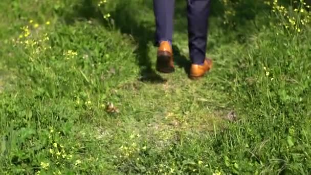 muž v obleku kráčí po trávě ke břehu - Záběry, video