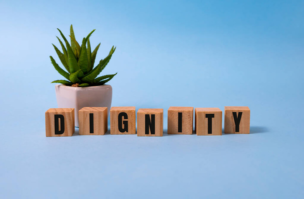 Dignity word written on wood block on blue. - Фото, зображення