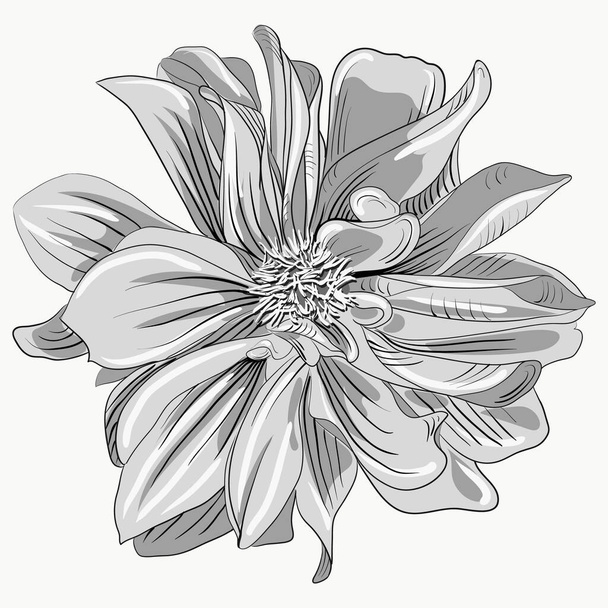 vector isolated flower.realistic flower for party design. suitable for greeting cards, wedding, pattern printing - Διάνυσμα, εικόνα