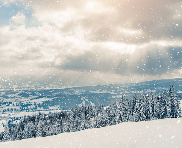 Gyönyörű panoráma havas hegyek naplementében hóval borított erdőben. Karácsonyi háttér magas fagyasztott lucfenyő fák. Alpesi síközpont. Téli üdvözlő háttér. Boldog új évet, tonizálás - Fotó, kép