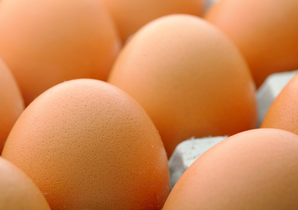 bruin eieren - Foto, afbeelding