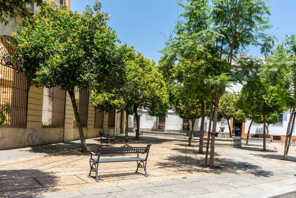 Cordoba, Spain - June 20: EMPTY CHAIRS AND TABLE BY TREES AGAINST SKY on streets of Cordoba, Spain, Europe - Фото, изображение
