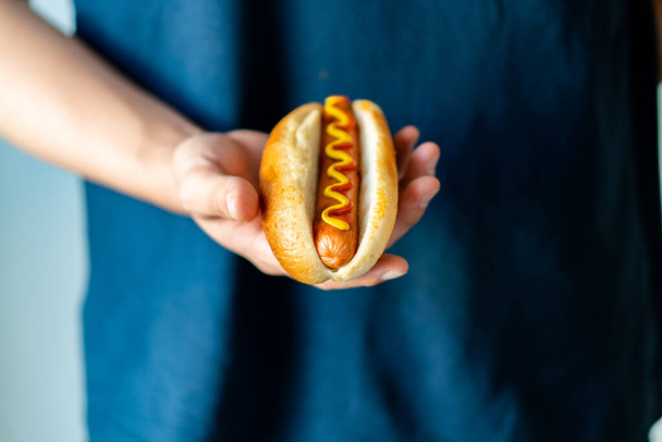 Amerikkalainen perinteinen pikaruoka Hotdog tuoretta orgaanista leipää pulla valkoinen vehnä ja musta hiilimakkara ketsuppi sinappi aterian paahdettua sipulia suolakurkkua ja ranskalaisia perunoita kiilat ja kaalisalaatti - Valokuva, kuva
