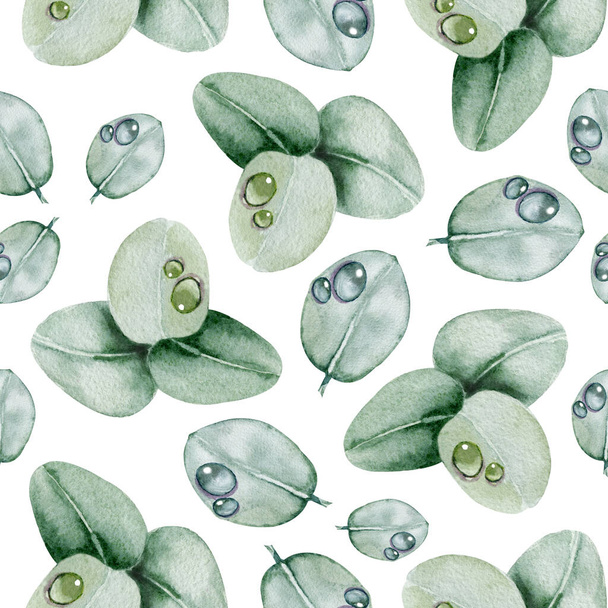 Seamless pattern with eucalyptus leaves, dew drops. Handmade watercolor illustration. Design for wedding background, template, invitation, fabric, wallpaper, wrapping wrapper - Photo, Image