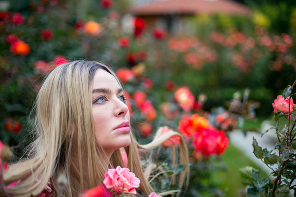 caucasico femmina bionda con gli occhi azzurri in pullover cremisi è seduto all'interno di cespugli di rose, fiori vicino al viso - Foto, immagini