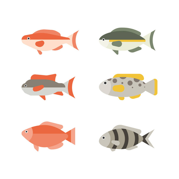Set of river fish. Fish isolated on white background. Vector illustration. - Вектор,изображение