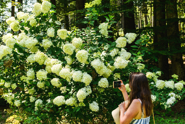 Μια λευκή γυναίκα φωτογραφίζει ένα όμορφο δέντρο λουλουδιών στο πάρκο. - Φωτογραφία, εικόνα