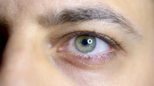 Macro dell'occhio di un uomo mentre lavora al computer. Movimenti del bulbo oculare. - Filmati, video